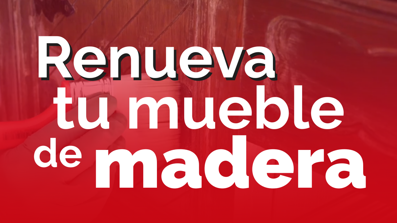 🔴 PRODUCTOS IDEALES PARA RENOVAR 